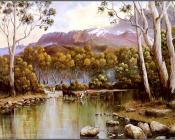 Australian Bush - 乔治·菲利普斯